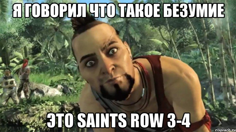 Я говорил что такое безумие Это saints row 3-4