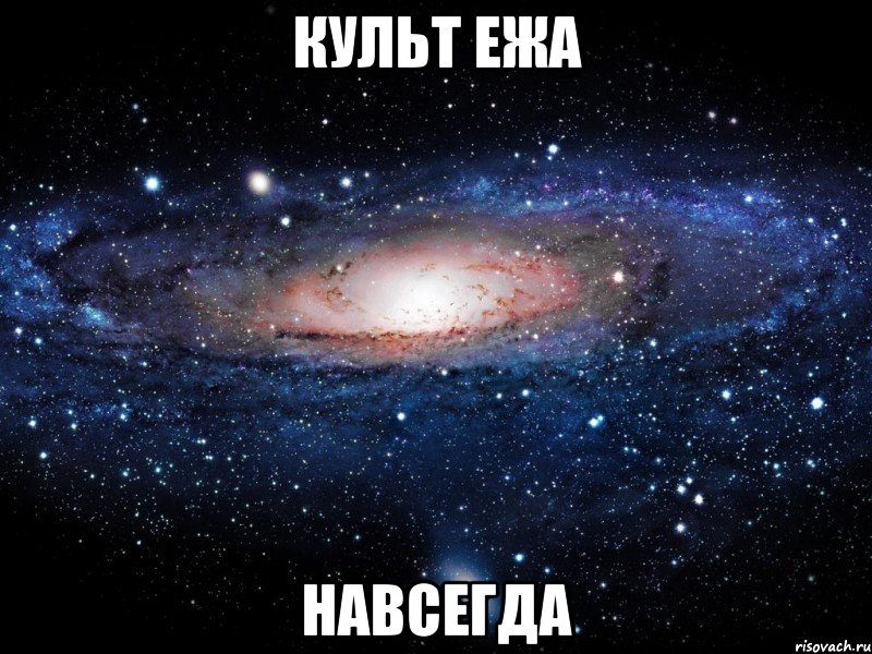 Культ ежа Навсегда, Мем Вселенная