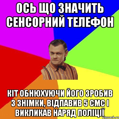 Ось що значить сенсорний телефон Кіт обнюхуючи його зробив 3 знімки, відпавив 5 смс і викликав наряд поліції, Мем Вталька