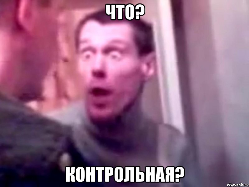 Что? Контрольная?, Мем Запили