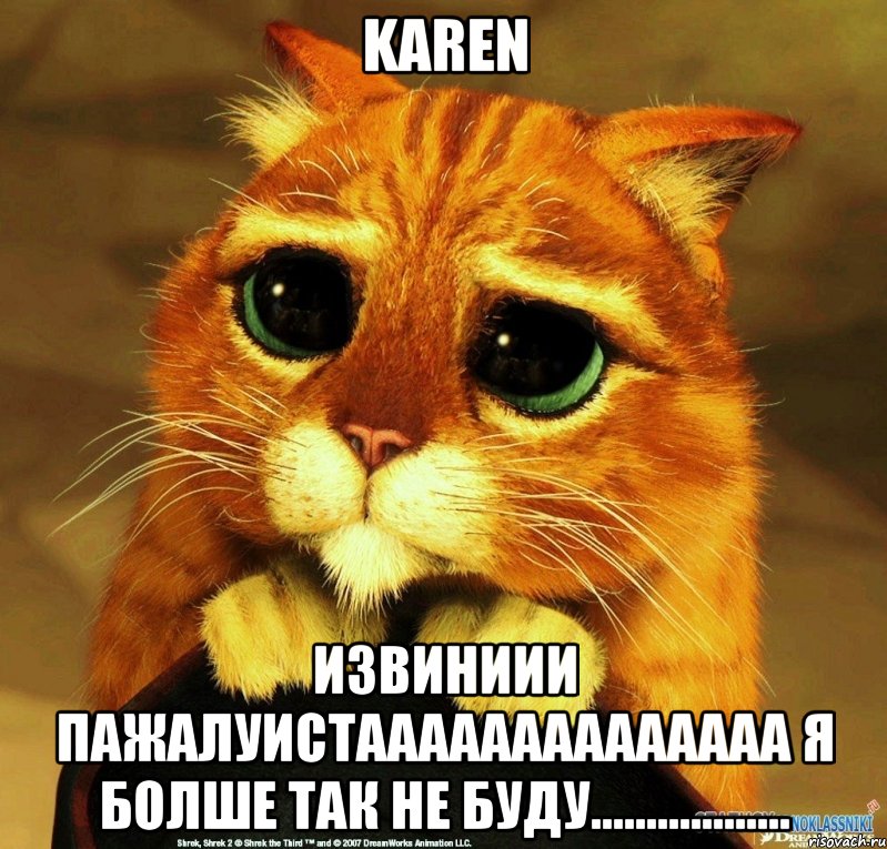 KAREN ИЗВИНИИИ ПАЖАЛУИСТАААААААААААААА Я БОЛШЕ ТАК НЕ БУДУ.................., Мем Котик из Шрека