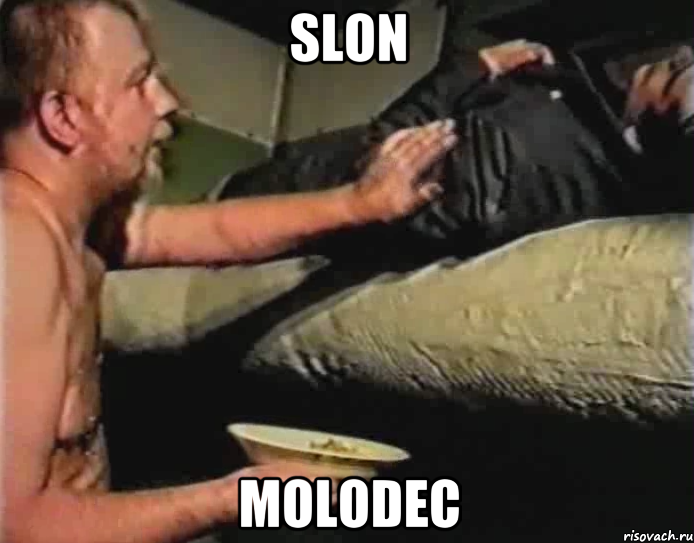 Slon Molodec, Мем Зеленый слоник