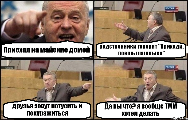 Приехал на майские домой родственники говорят "Приходи, поешь шашлыка" друзья зовут потусить и покуражиться Да вы что? я вообще ТММ хотел делать, Комикс Жириновский