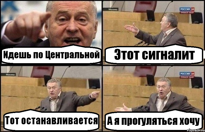 Идешь по Центральной Этот сигналит Тот останавливается А я прогуляться хочу, Комикс Жириновский