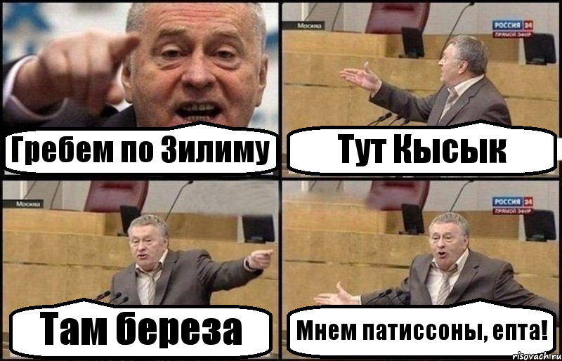 Гребем по Зилиму Тут Кысык Там береза Мнем патиссоны, епта!, Комикс Жириновский