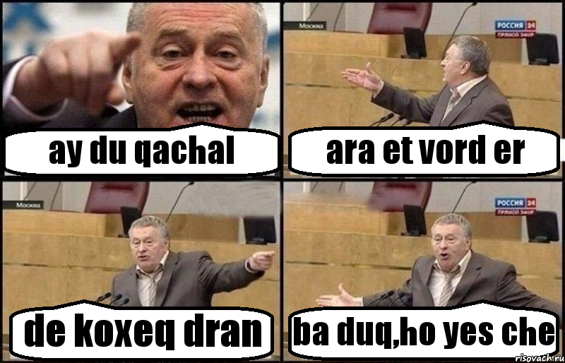 ay du qachal ara et vord er de koxeq dran ba duq,ho yes che, Комикс Жириновский