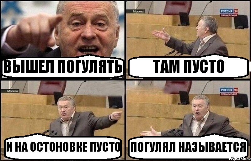 ВЫШЕЛ ПОГУЛЯТЬ ТАМ ПУСТО И НА ОСТОНОВКЕ ПУСТО ПОГУЛЯЛ НАЗЫВАЕТСЯ, Комикс Жириновский