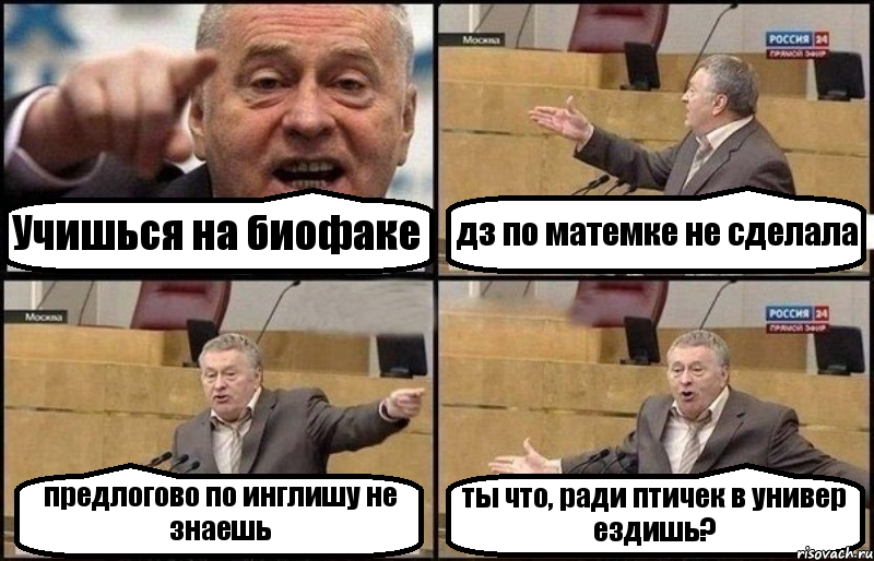 Учишься на биофаке дз по матемке не сделала предлогово по инглишу не знаешь ты что, ради птичек в универ ездишь?, Комикс Жириновский