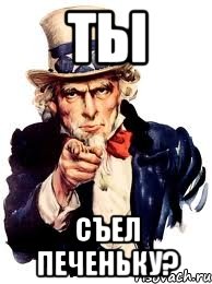 Ты съел печеньку?, Мем а ты