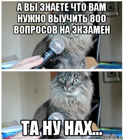 а вы знаете что вам нужно выучить 800 вопросов на Экзамен та ну нах..., Комикс  кот с микрофоном