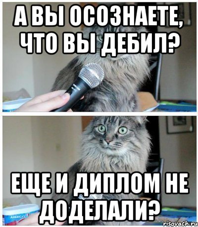 А вы осознаете, что вы дебил? Еще и диплом не доделали?, Комикс  кот с микрофоном