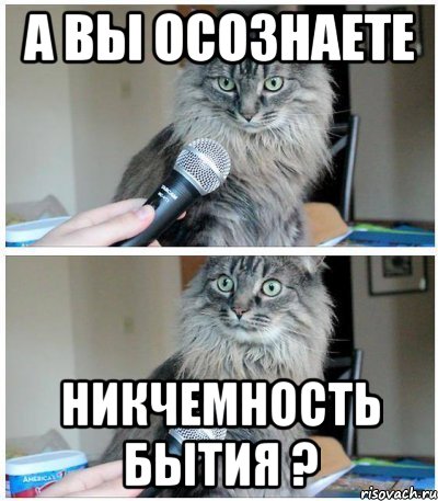 А вы осознаете никчемность бытия ?, Комикс  кот с микрофоном