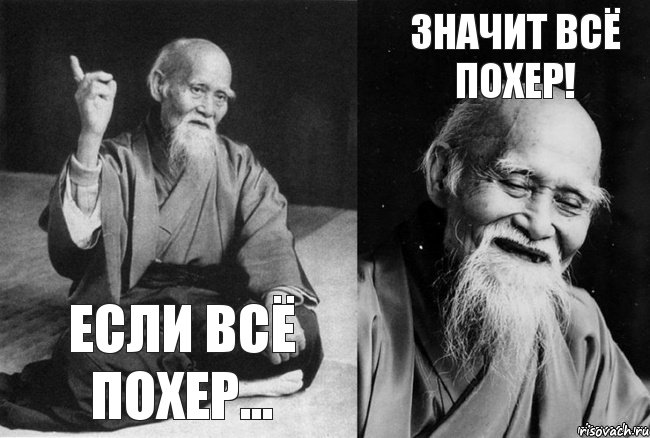 Если всё похер... Значит всё похер!, Комикс Мудрец-монах (2 зоны)