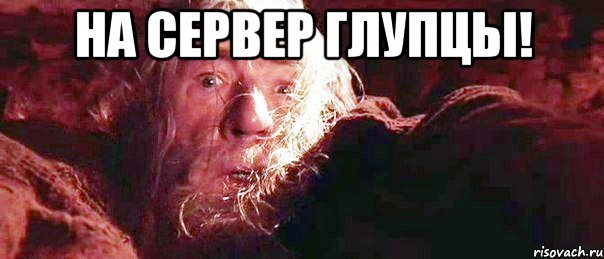 На сервер глупцы! , Мем Гендальф (Бегите глупцы)