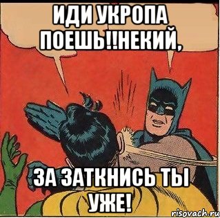 ИДИ УКРОПА ПОЕШЬ!!НЕКИЙ, ЗА ЗАТКНИСЬ ТЫ УЖЕ!, Комикс   Бетмен и Робин