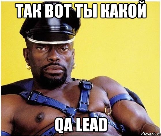 Так вот ты какой QA Lead, Мем Черный властелин