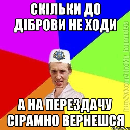 Скільки до діброви не ходи А на перездачу сірамно вернешся, Мем Чоткий пацан