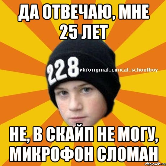 Да отвечаю, мне 25 лет Не, в скайп не могу, микрофон сломан, Мем  Циничный школьник