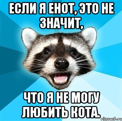 Если я енот, это не значит, что я не могу любить кота., Мем Енот-Каламбурист