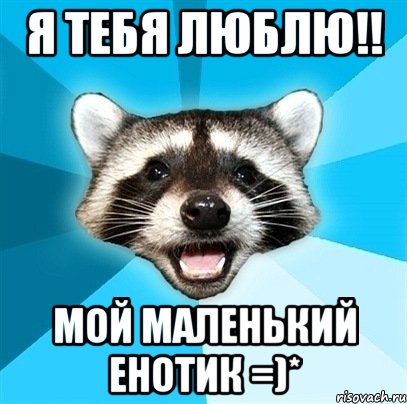 Я тебя люблю!! Мой маленький енотик =)*, Мем Енот-Каламбурист