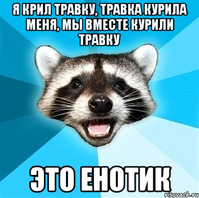 Я крил травку, травка курила меня, мы вместе курили травку Это енотик, Мем Енот-Каламбурист