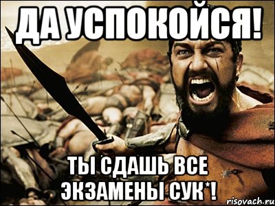 Да успокойся! Ты сдашь все экзамены сук*!, Мем Это Спарта