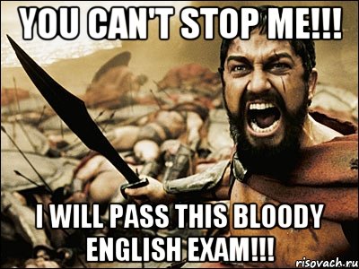 You can't stop me!!! I will pass this bloody English exam!!!, Мем Это Спарта