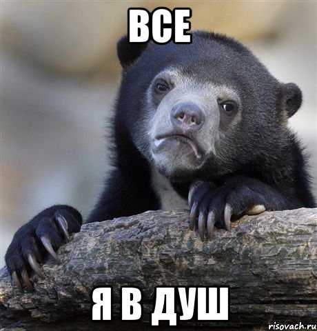 Все Я в душ, Мем грустный медведь