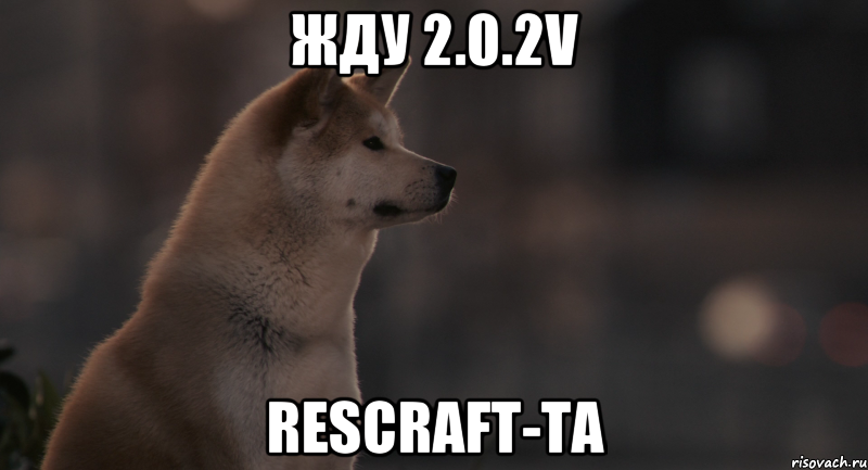 Жду 2.0.2v Rescraft-та, Мем Хатико