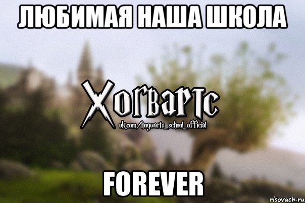 Любимая наша школа Forever, Мем Хогвартс