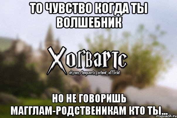 то чувство когда ты волшебник но не говоришь магглам-родственикам кто ты..., Мем Хогвартс