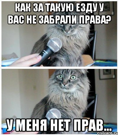 Как за такую езду у вас не забрали права? у меня нет прав..., Комикс  кот с микрофоном