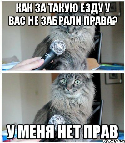 Как за такую езду у вас не забрали права? у меня нет прав, Комикс  кот с микрофоном