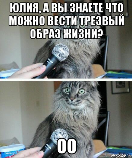 Юлия, а вы знаете что можно вести трезвый образ жизни? Оо, Комикс  кот с микрофоном