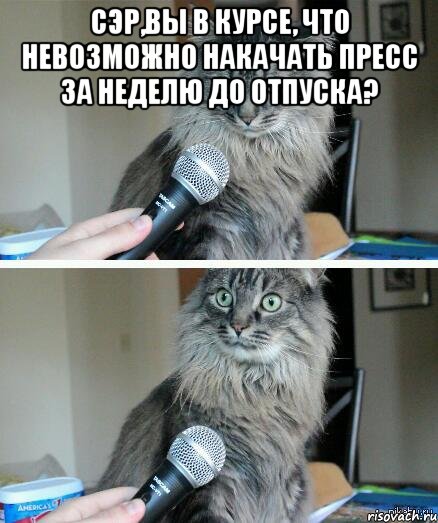 Сэр,вы в курсе, что невозможно накачать пресс за неделю до отпуска? , Комикс  кот с микрофоном