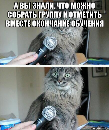 а вы знали, что можно собрать группу и отметить вместе окончание обучения , Комикс  кот с микрофоном