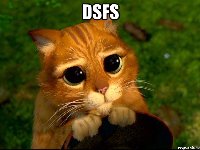 dsfs , Мем кот из шрека