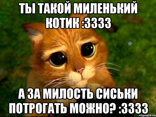 Ты такой миленький котик :3333 А за милость сиськи потрогать можно? :3333, Мем кот из шрека