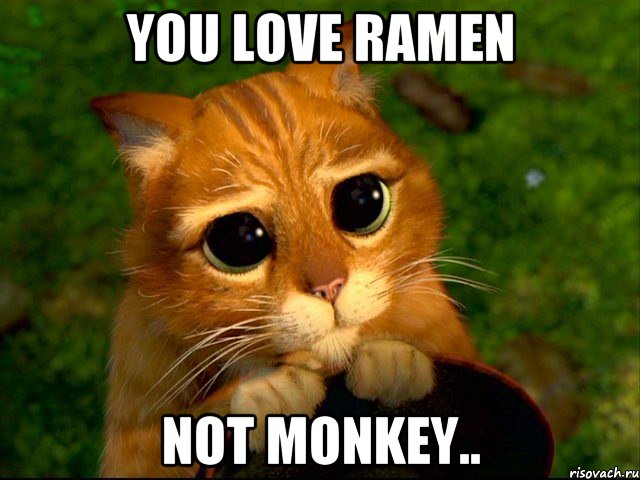 You love ramen Not monkey.., Мем кот из шрека