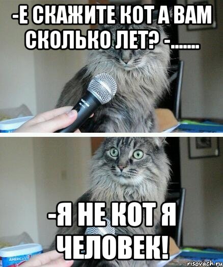 Ни о чем не говорит. Я не кот Мем. Я кот Мем. Человек кот Мем. Коты не мемы.