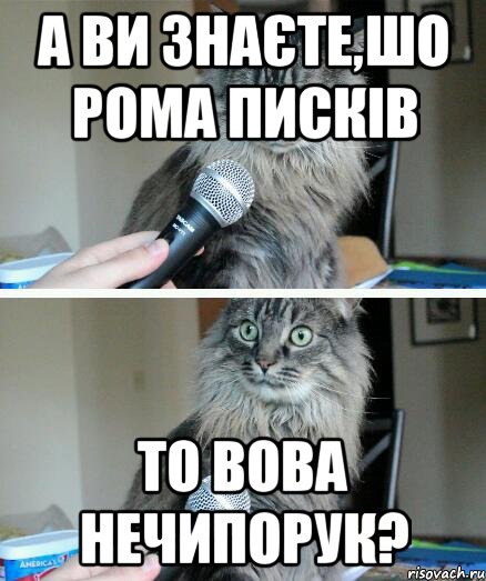 А ви знаєте,шо Рома Писків то Вова Нечипорук?, Комикс  кот с микрофоном