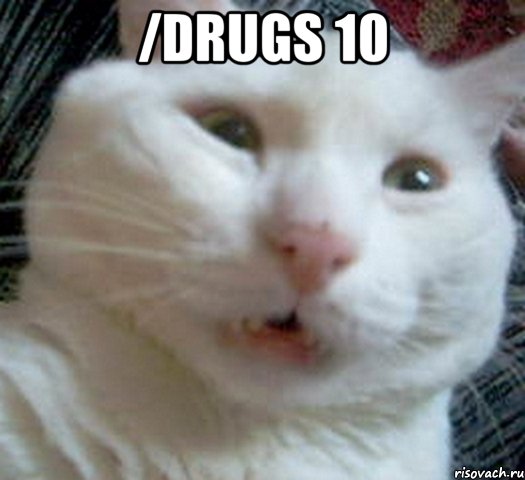 /drugs 10 