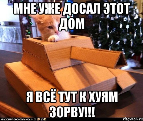 мне уже досал этот дом я всё тут к хуям ЗОРВУ!!!, Мем Котэ танкист