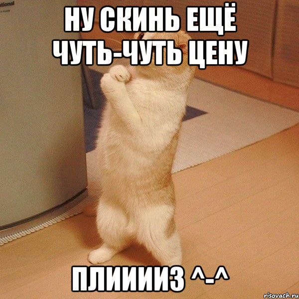 Ну скинь ещё чуть-чуть цену Плииииз ^-^, Мем  котэ молится