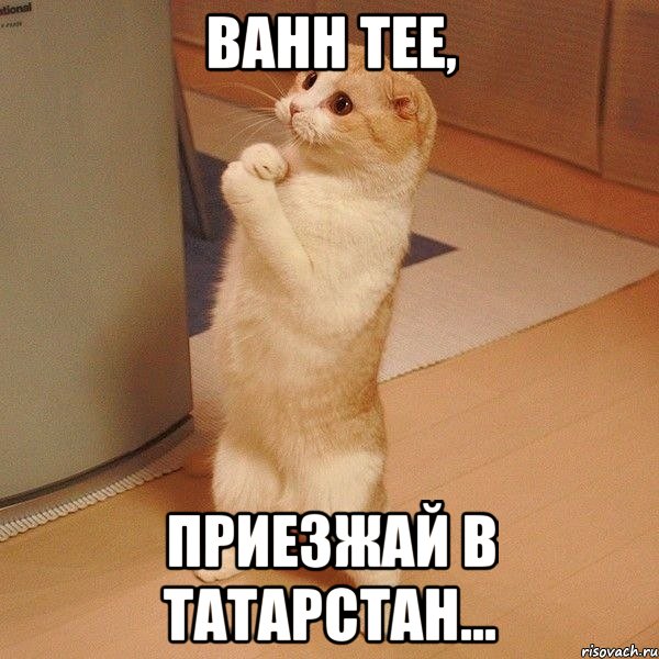 Bahh Tee, приезжай в Татарстан..., Мем  котэ молится