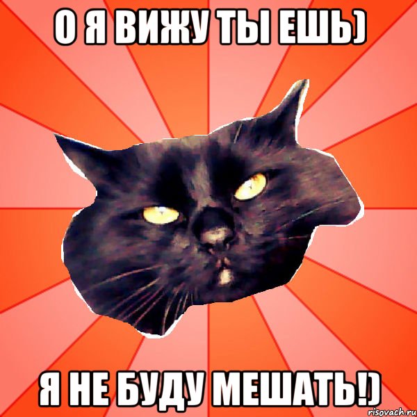 Meowing meme. Мяу мяу мяу мяу. Мяу Мем. Кот Мем мяу. Прости кот мяу.