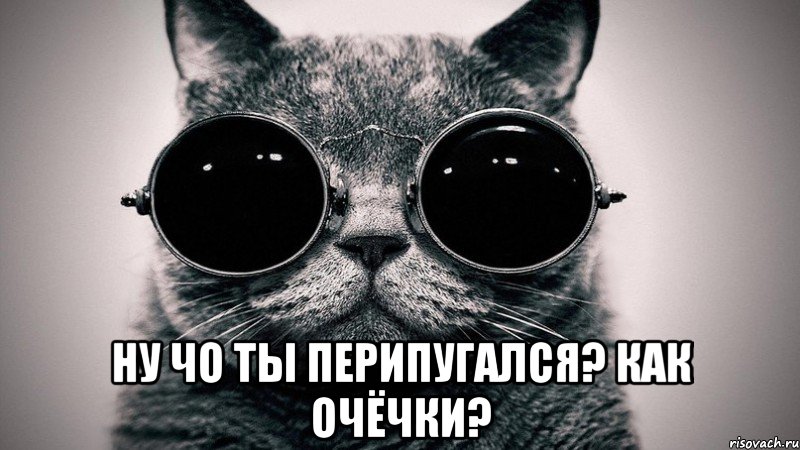  НУ ЧО ТЫ ПЕРИПУГАЛСЯ? кАк очёчки?, Мем Котоматрица