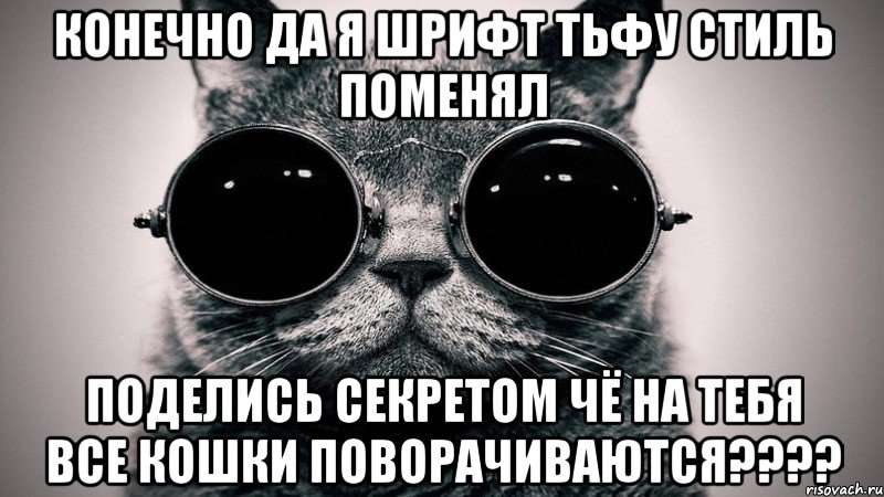 конечно да я шрифт тьфу стиль поменял поделись секретом чё на тебя все кошки поворачиваются????, Мем Котоматрица