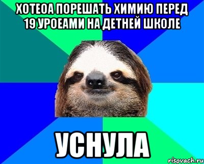 Хотеоа порешать химию перед 19 уроеами на детней школе Уснула, Мем Ленивец