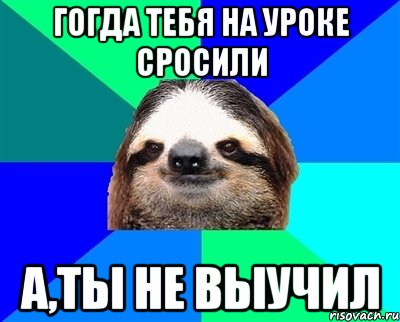 гогда тебя на уроке сросили а,ты не выучил, Мем Ленивец